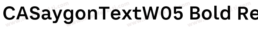 CASaygonTextW05 Bold Regular字体转换